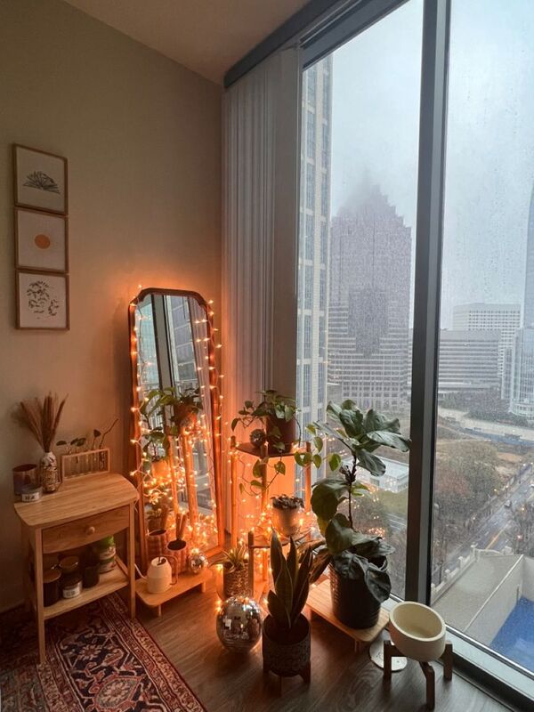 A cozy room with plants and warm indoor light